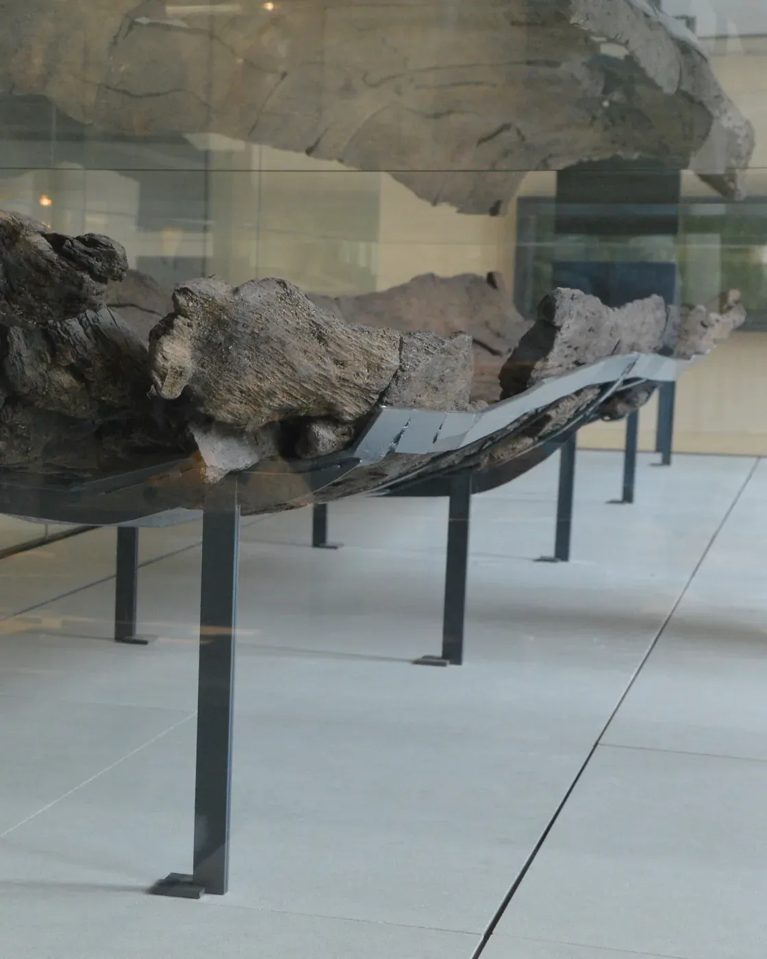 Vue d'une pirogue datant de la préhistoire