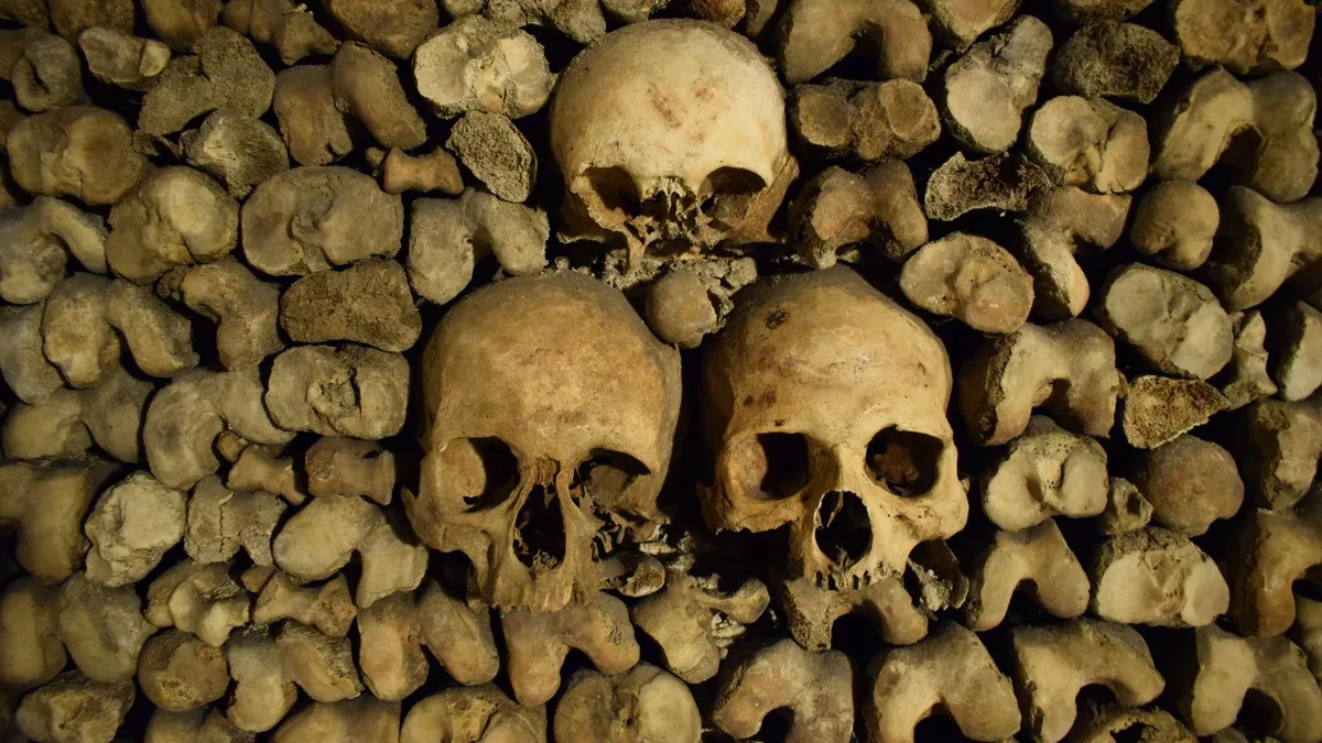 Three skulls set into a wall of bones in the ossuary of the Paris Catacombs